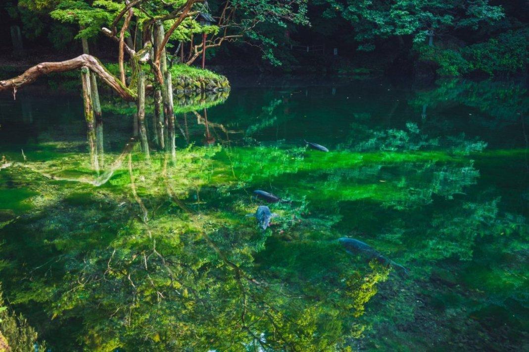逆水寒