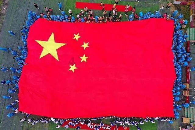 逃离诡异之林